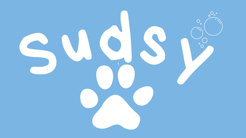Sudsy